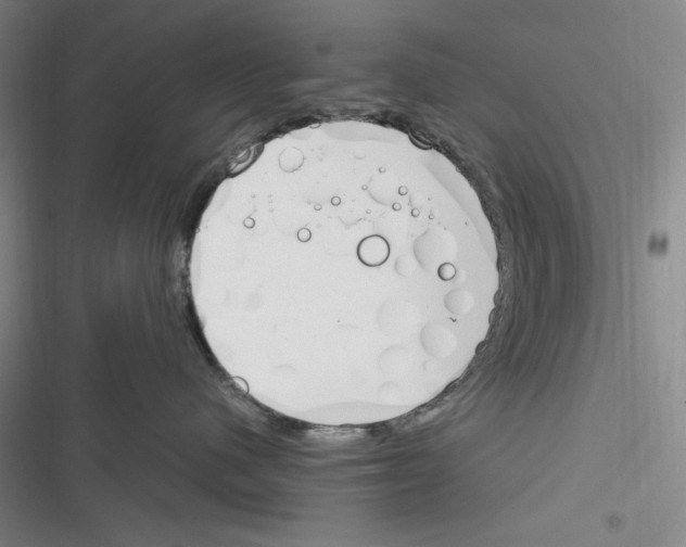 X0000116260480201001110957