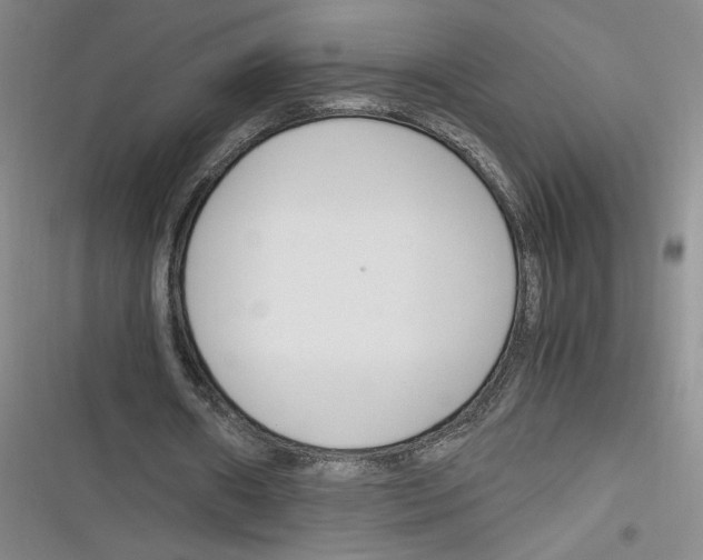 X0000116260482201001110957
