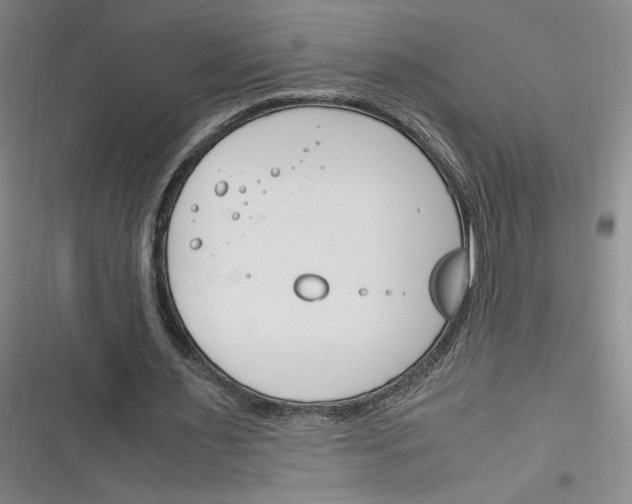 X0000116260483201001110956