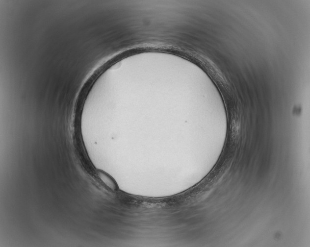 X0000116260484201001110956