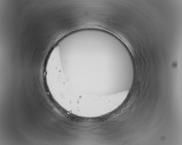 X0000116260485201001110956