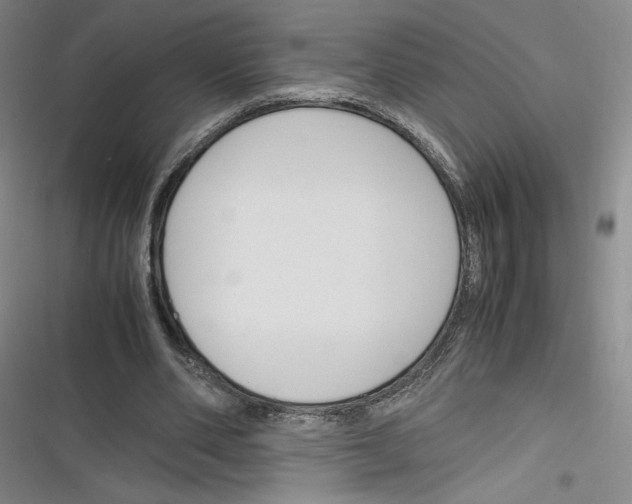 X0000116260486201001110956