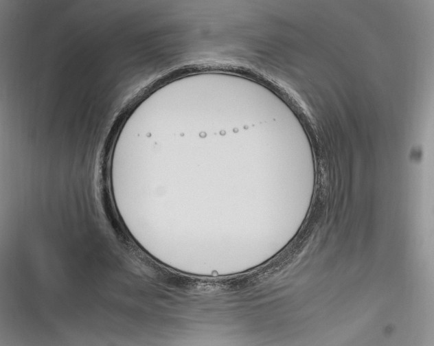 X0000116260487201001110956