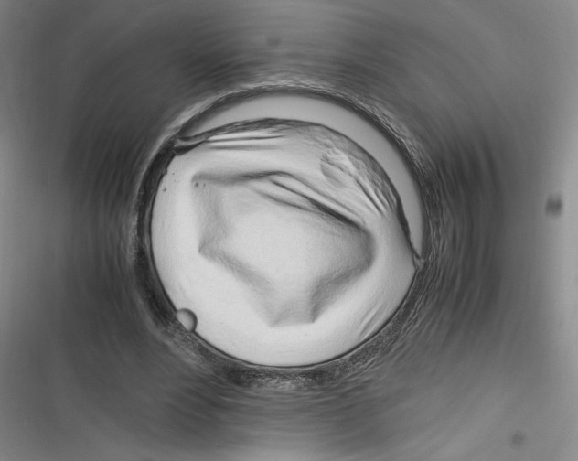 X0000116260488201001110956