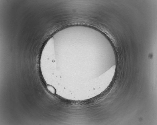 X0000116260489201001110956