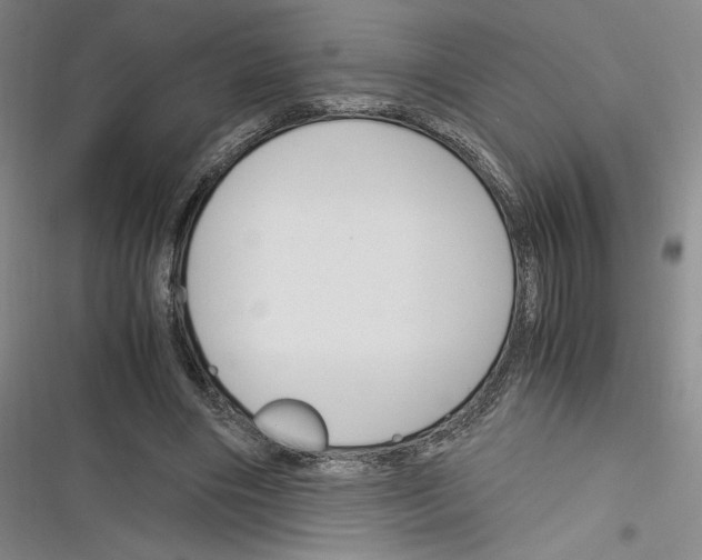 X0000116260490201001110956