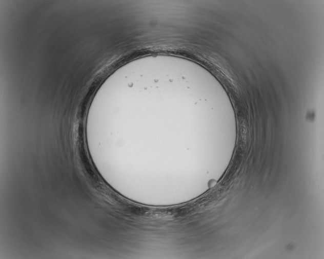 X0000116260491201001110956