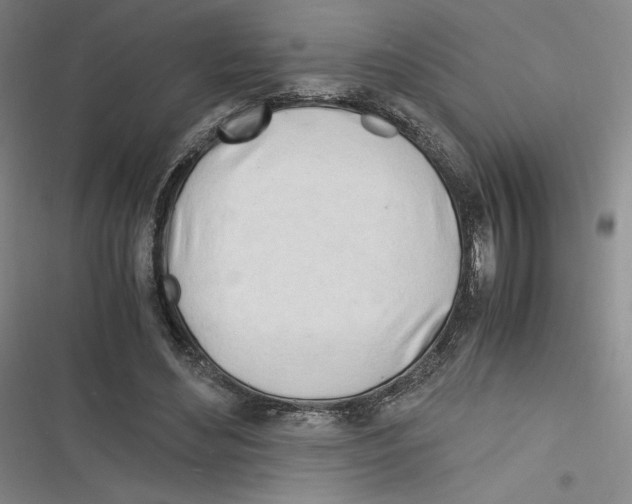 X0000116260492201001110956