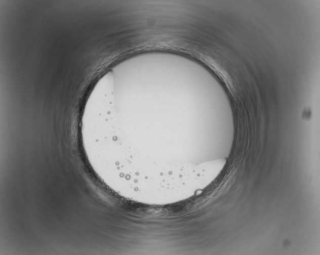 X0000116260493201001110956