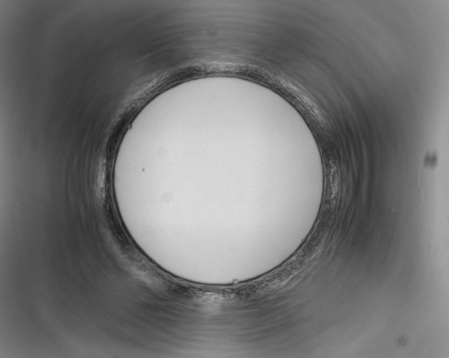 X0000116260494201001110956