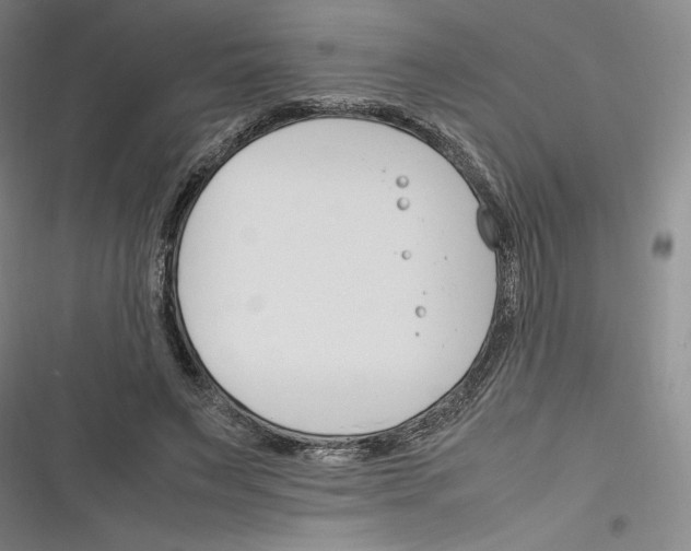 X0000116260495201001110956