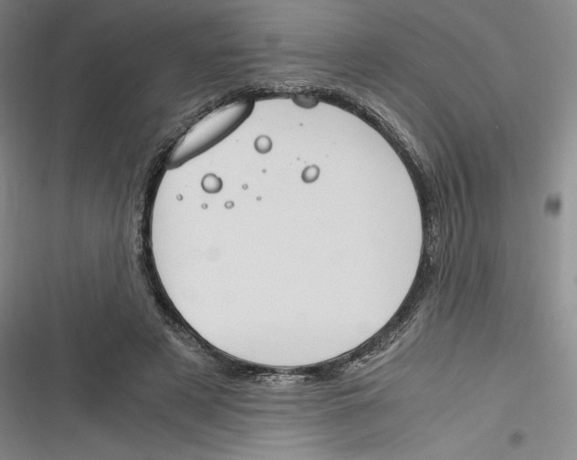X0000116260497201001110956