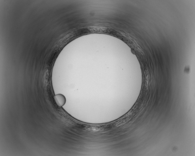 X0000116260498201001110956