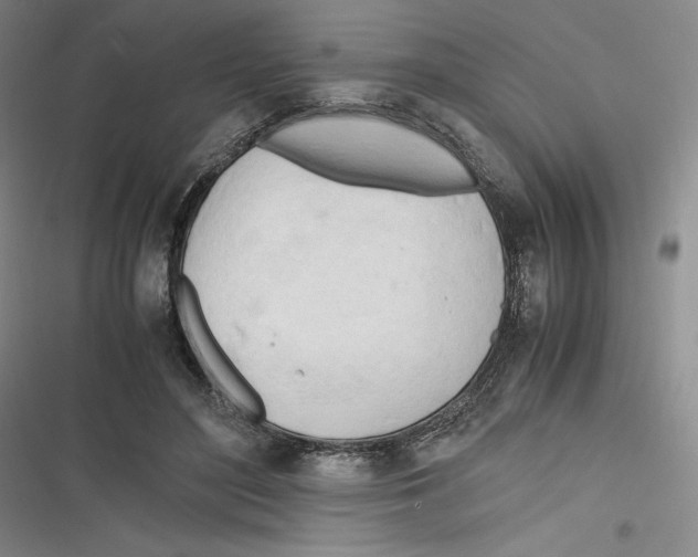 X0000116260500201001110956
