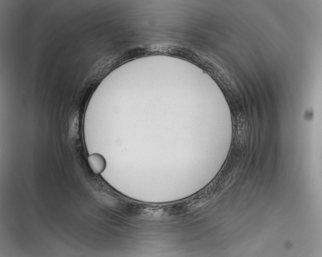 X0000116260502201001110956