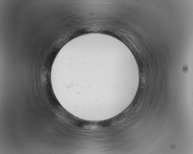 X0000116260503201001110956