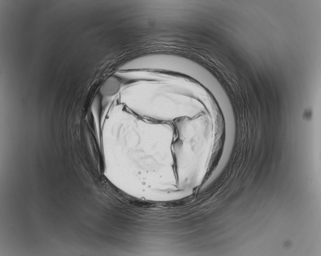 X0000116260504201001110956
