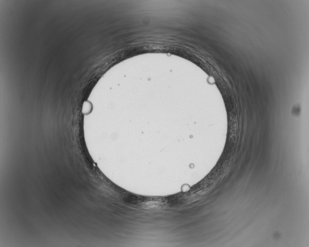 X0000116260505201001110956