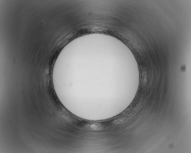 X0000116260506201001110956