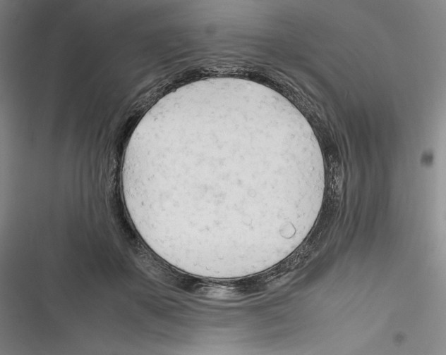 X0000116260507201001110956