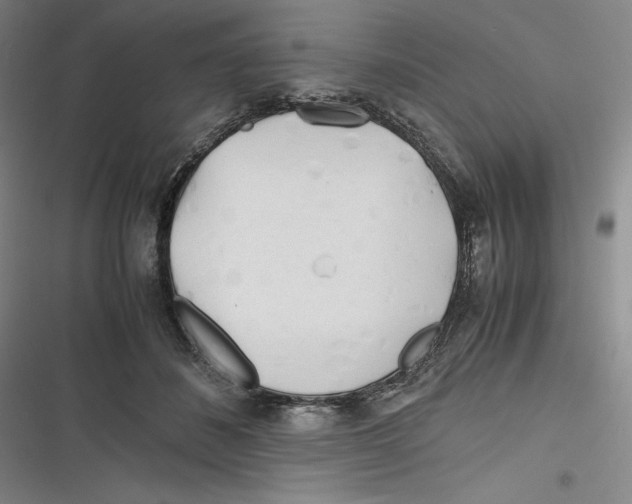 X0000116260508201001110956