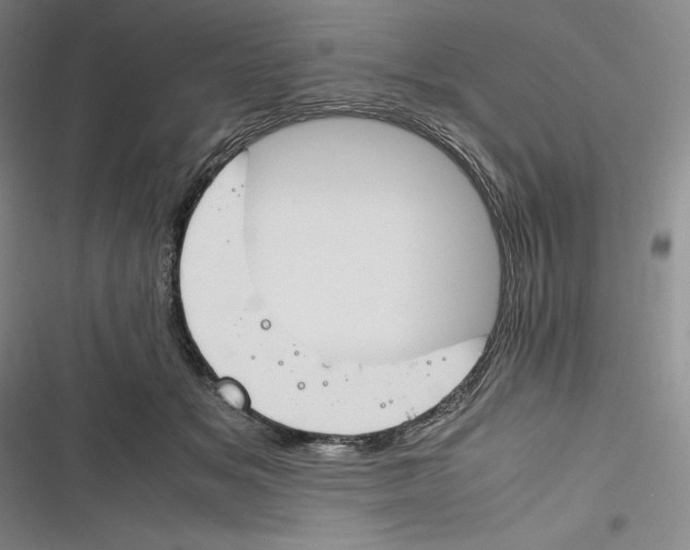 X0000116260509201001110956