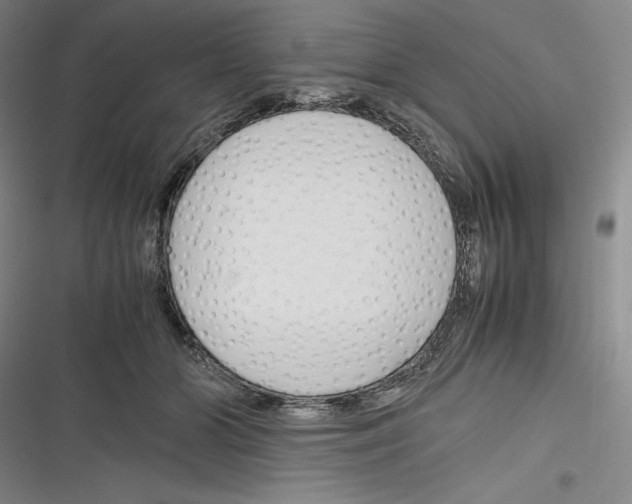 X0000116260510201001110956