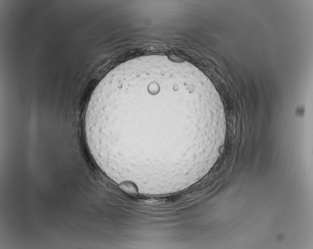 X0000116260511201001110956