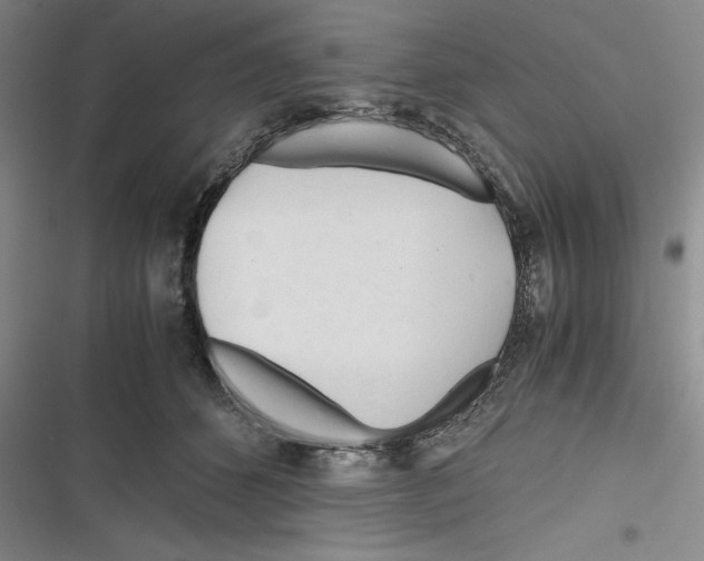 X0000116260512201001110956