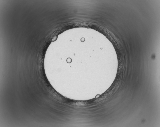 X0000116260513201001110956