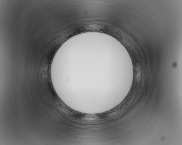 X0000116260514201001110956