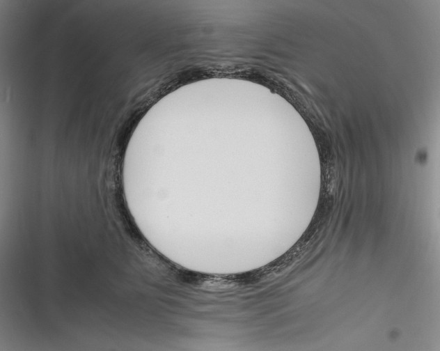 X0000116260515201001110956