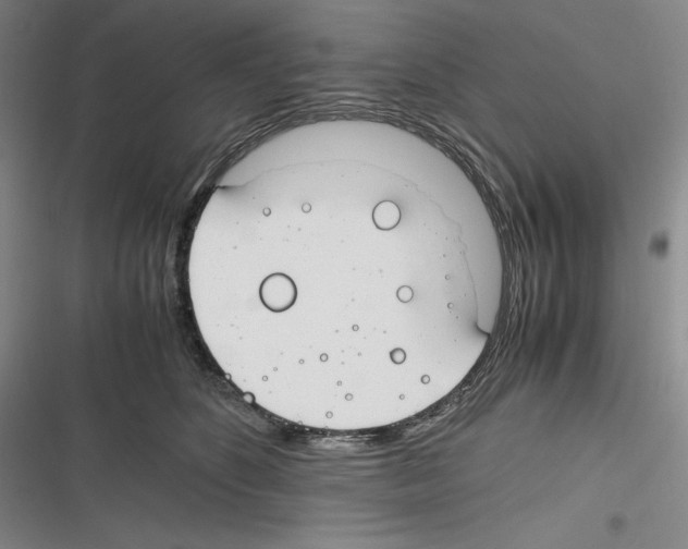 X0000116260516201001110956