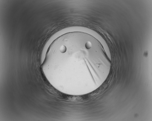 X0000116260517201001110956