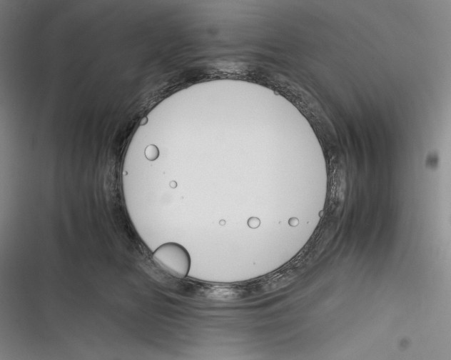 X0000116260518201001110956