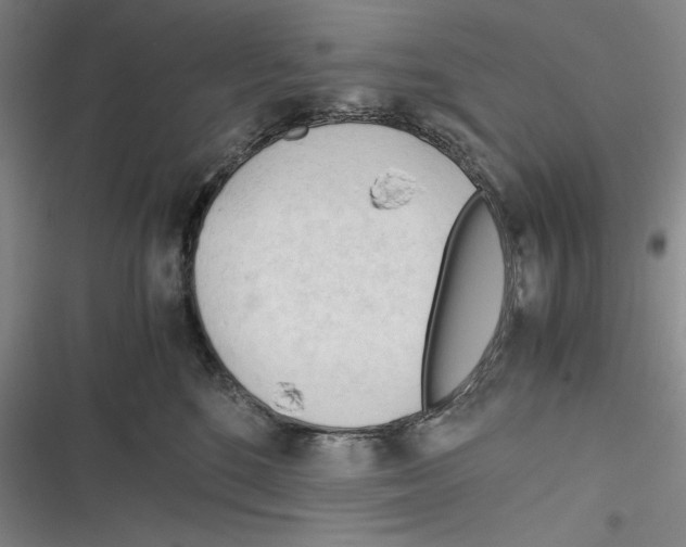 X0000116260520201001110956