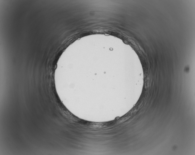 X0000116260521201001110956