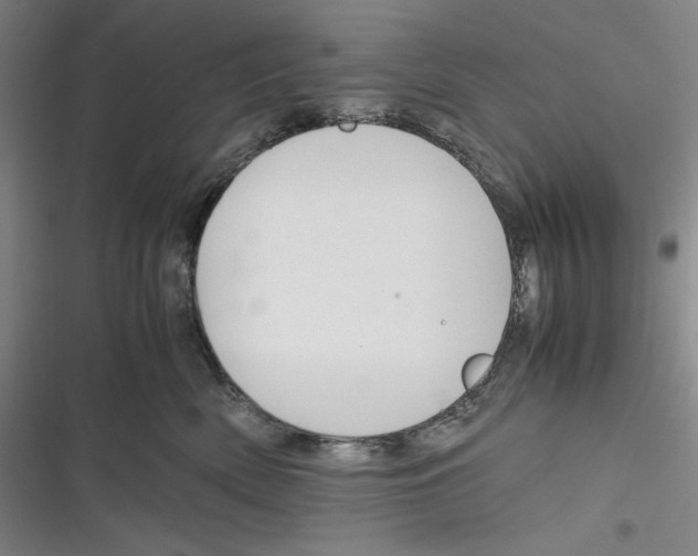 X0000116260522201001110956