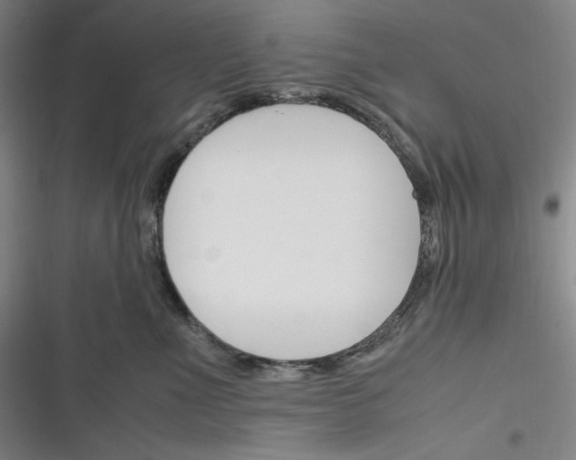 X0000116260523201001110956