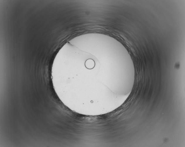 X0000116260524201001110956
