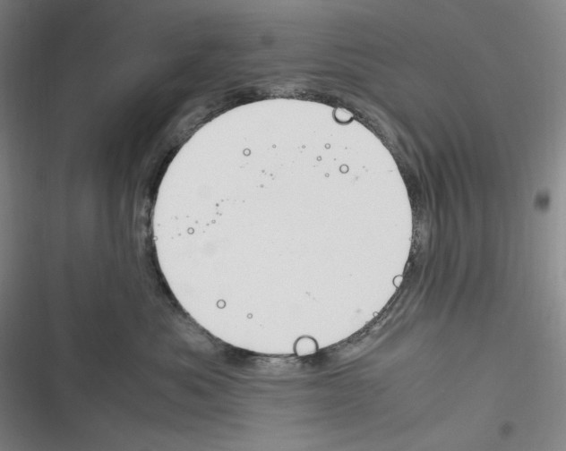 X0000116260525201001110956