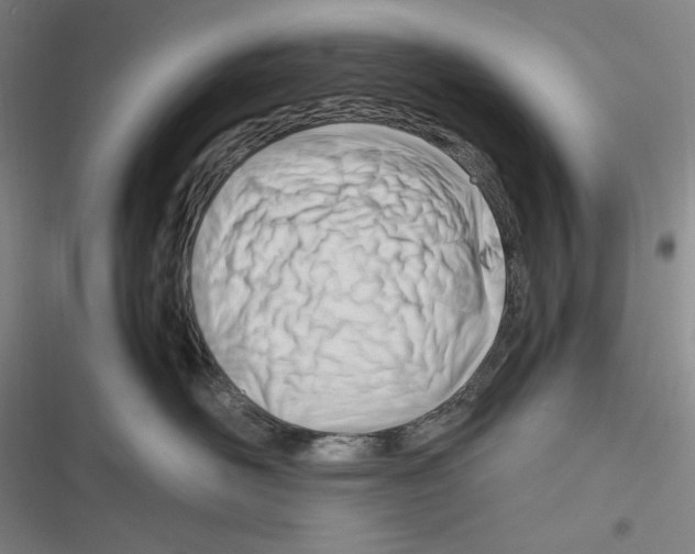 X0000116260526201001110956