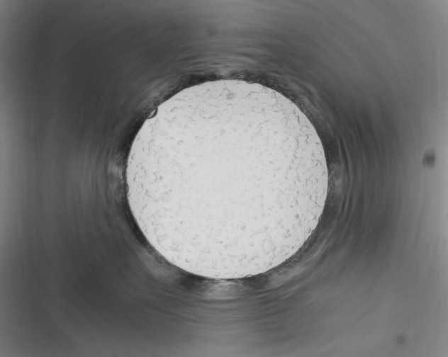 X0000116260527201001110956