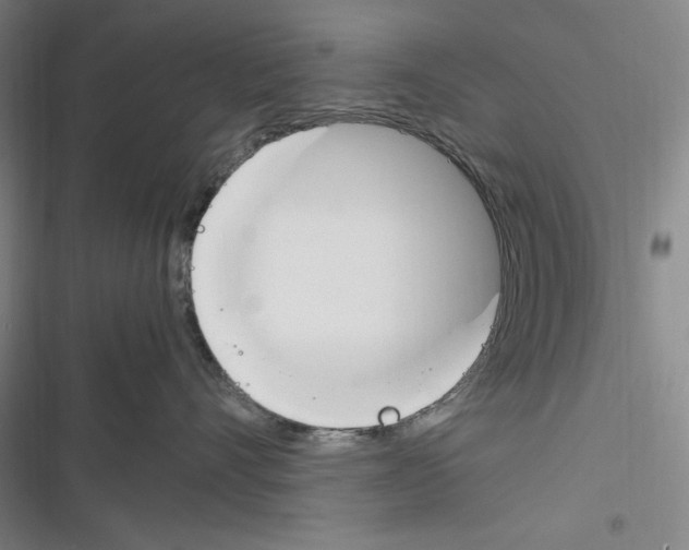X0000116260528201001110956