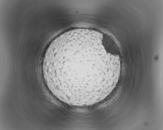 X0000116260529201001110955