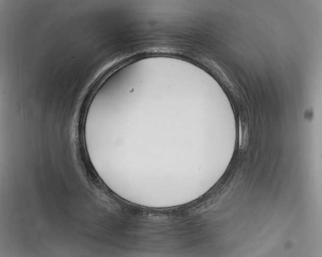 X0000116260531201001110955