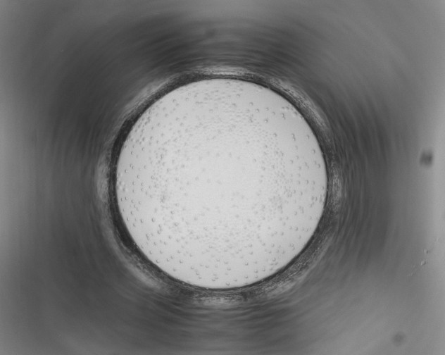 X0000116260533201001110955