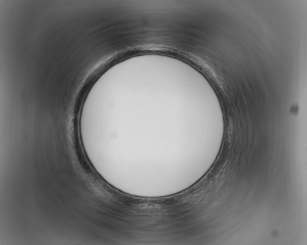 X0000116260535201001110955