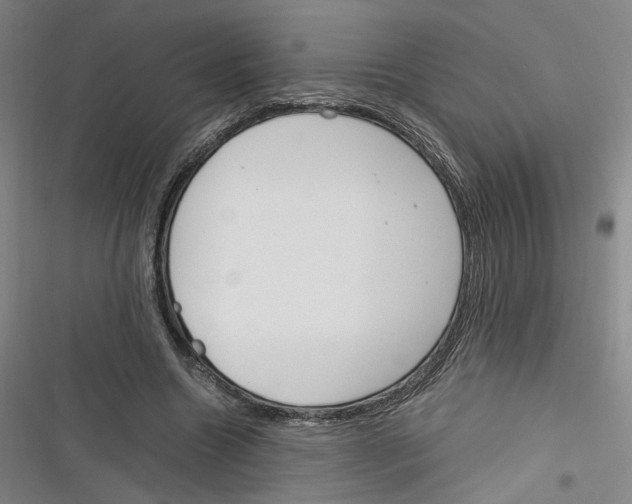 X0000116260538201001110955