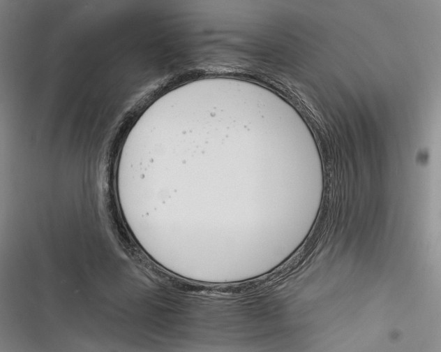 X0000116260539201001110955